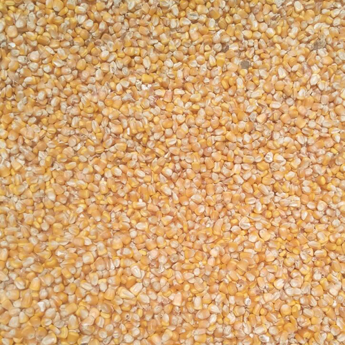 Organic Yellow Maize