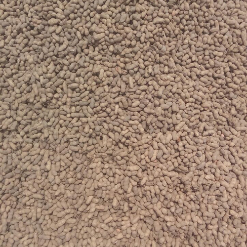 Common Dried Nuts