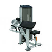 Arm Curl Bench