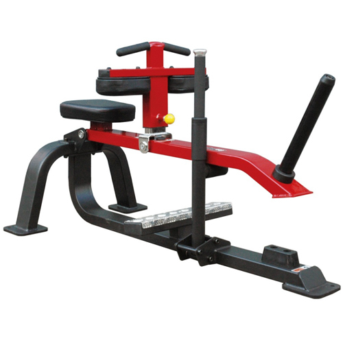 Seated Calf Machine