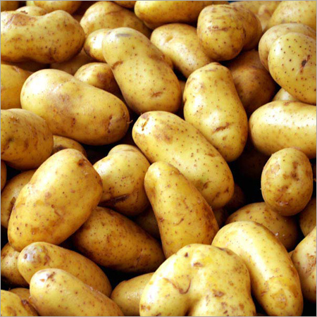 Organic Potato