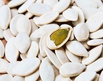 Snow White Pumpkin Seed