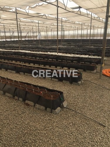Trough Planters