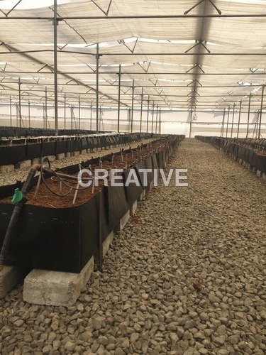 Agriculture Trough