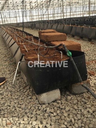 Green House Trough