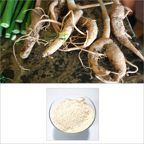 Moringa Root Powder