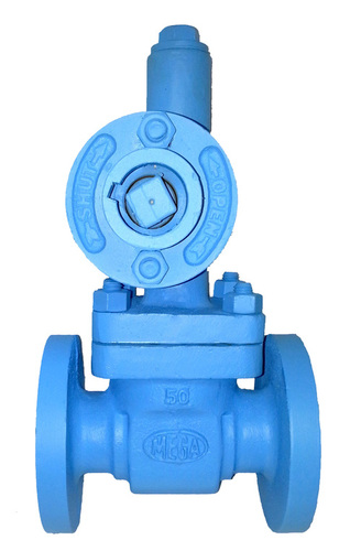 Blow Down Valves
