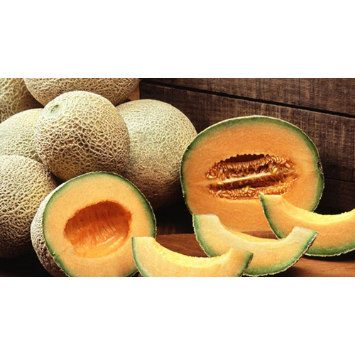 Fresh Muskmelon