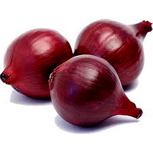 Fresh Red Onion Bulbs