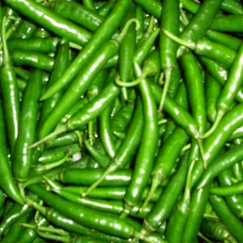 Fresh Green Chilli