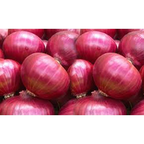 Fresh Red Onion