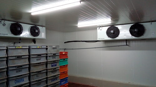 CURD COLD STORAGE ROOM