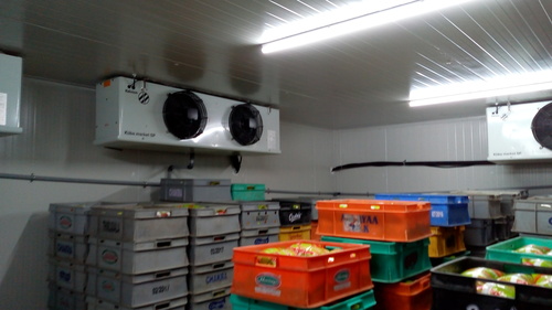 GHEE COLD STORAGE ROOM