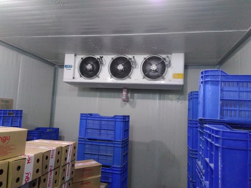 Forced Air Pre Cooling Chamber - 2000 Liter Capacity, Insulated Design | Automatic Defrost, Maintains High Humidity, 0-5 Celsius Operating Temperature, 2 Tonne Loading Capacity