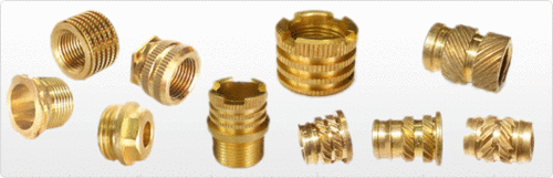 Moulding Brass Insert