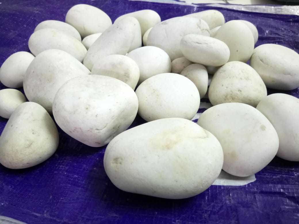 natural white river pebbles stone