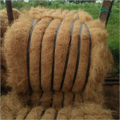 Coconut Fiber