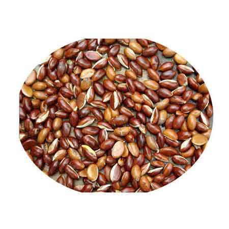 Mahua Seeds