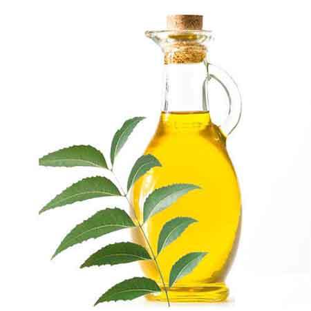 Neem Fruit Oil