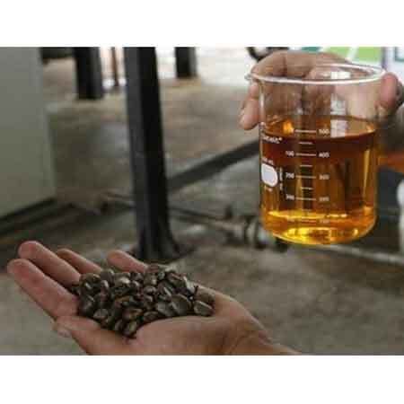 Non Edible Oils