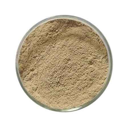 Green Coffee Bean Powder