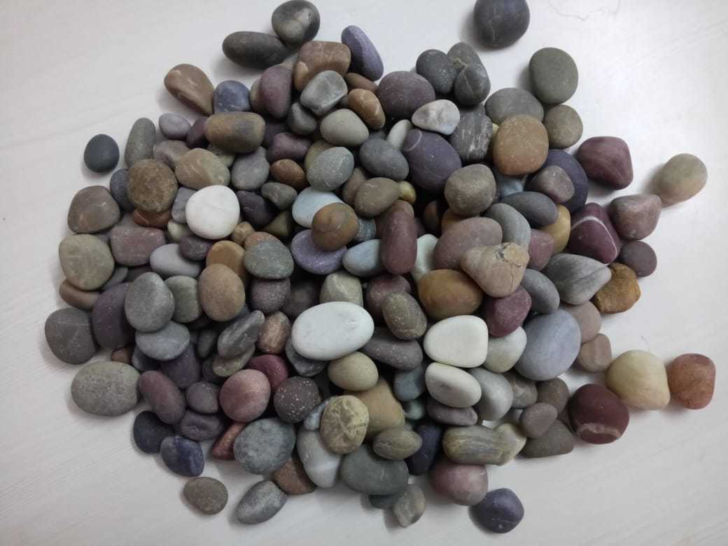 Multi Color Pebble Stone