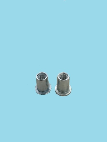 Flat Head Rivet Nut