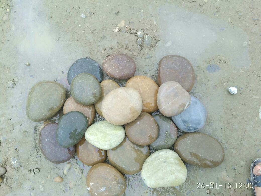Natural high quality polished yellow white pebbles stones for interiut architectural design used