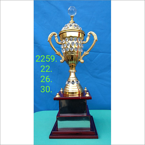 Star Award Trophy Star Award Trophy