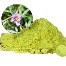 KORANTIA EXTRACT