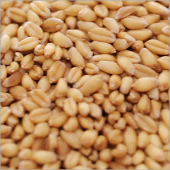 Organic Grains