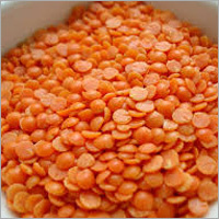 Common Fresh Masoor Dal