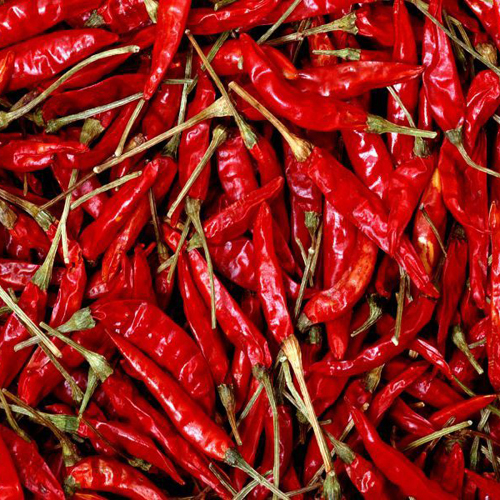 Dry Chilli Dry Chilli