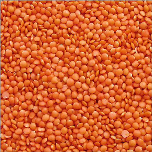 Masoor Dal - Grain Size: Natural