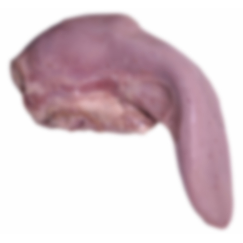 Frozen Pork Tongue Frozen Pork Tongue