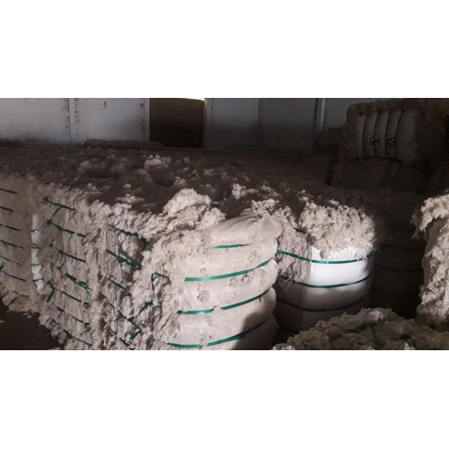 Cotton Waste Industry