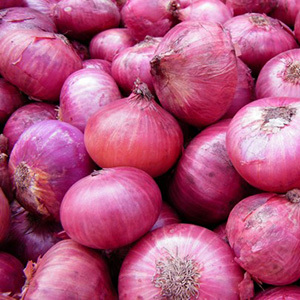 Fresh Onion
