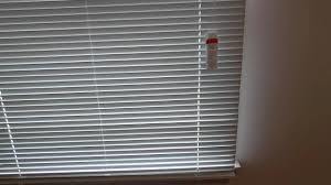 1 aluminium blinds