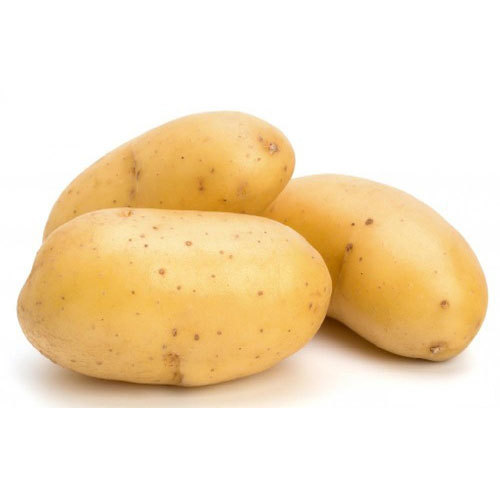 Fresh Potato