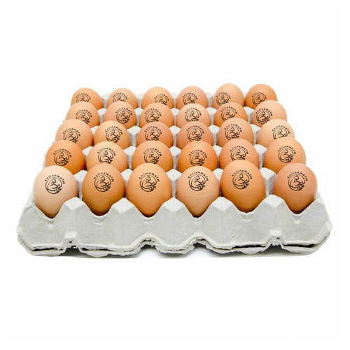 Egg in Tray