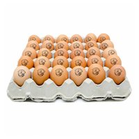 Egg In Tray