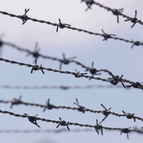 Barbed Wire