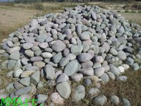 Sea coral surface landscaping Natural River Pebble Stone and cobbles for export price per ton