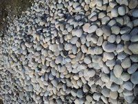 Sea coral surface landscaping Natural River Pebble Stone and cobbles for export price per ton