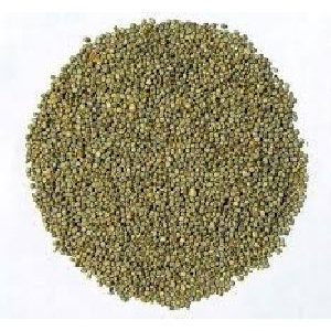 Millet Seeds