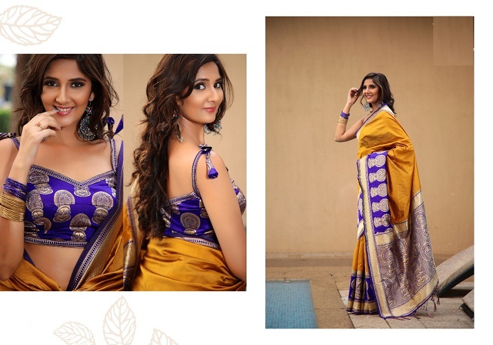 Banarasi Silk Sarees
