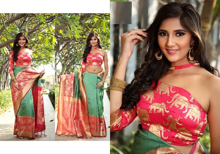 Banarasi Silk Sarees