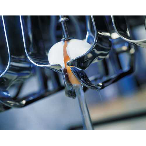 Egg Breaking Machine