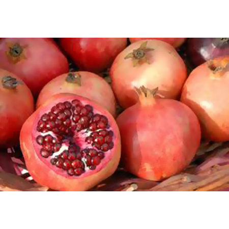 Red Fresh Pomegranate