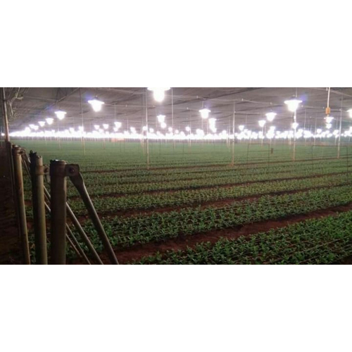 Greenhouse Lighting System